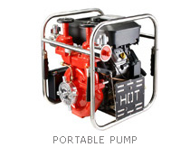 Portable Pump